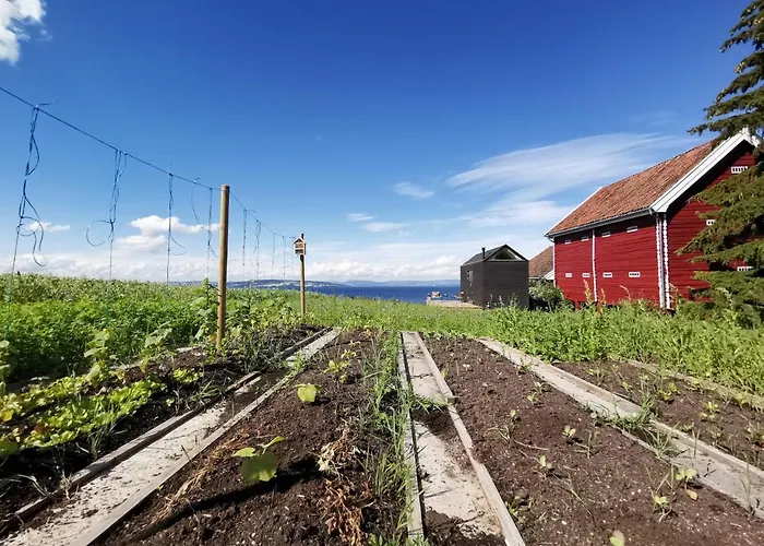 Idylliske Evjua Ved Mjosa Skreia