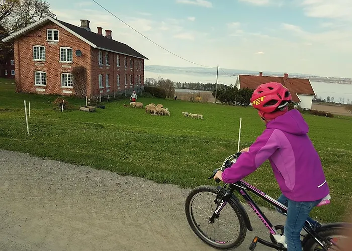 Idylliske Evjua Ved Mjosa Parque de Campismo